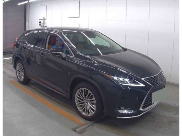 F546250119f